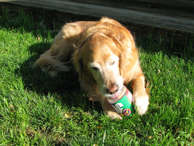 Jake cleaning a plastic container