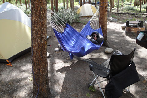 snoozing in hammock