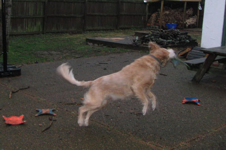 Jake playing catch