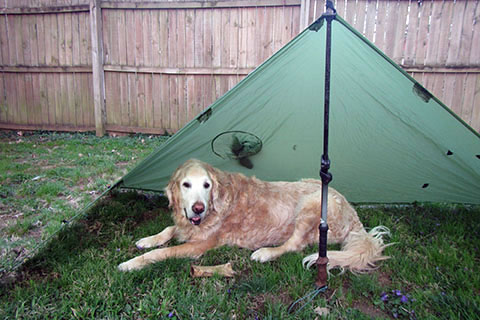 Jake under the Poncho Tarp set as a tarp