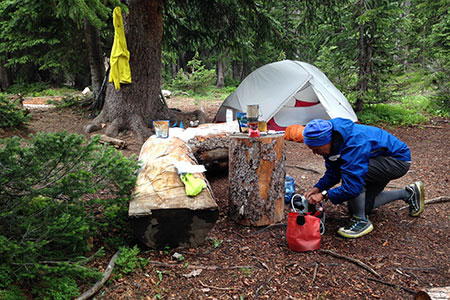 Hubba set among logs