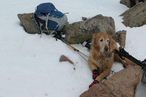 Jake on Mount Bierstadt in his Ruff Wear Boots