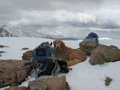 Jake and Talon Packs on Bierstadt