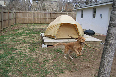 Jake playing in the backyard