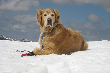 Jake on the summit of Princeton