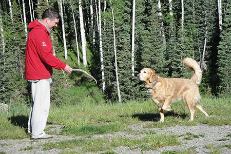 Jake sneaking up on a stick