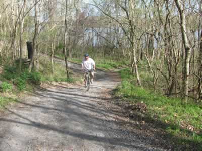 Climb from the drainage to return to the trail