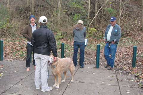 Dutchman Curve at richland Creek Greenway