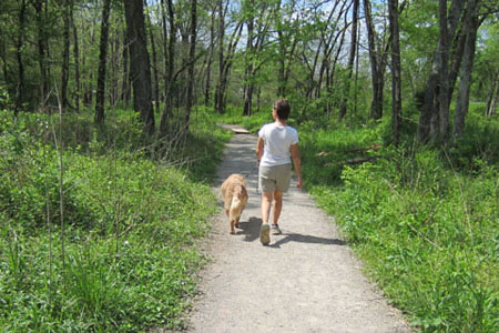 hiking on the Harpeth Woods Trail