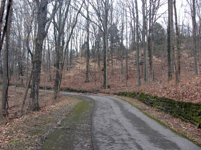 the Old Roadway in Edwin Warner Park