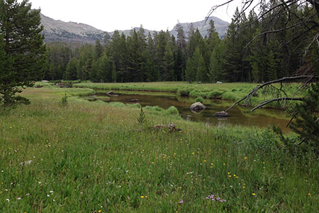 Big Sandy River meandering through fields of grasses and flowers