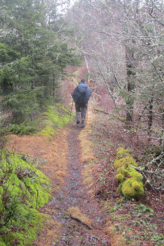 Boulevard Trail in the mist