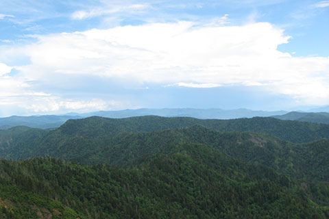 Boulevard Trail view