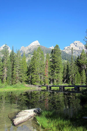 bradley Lake