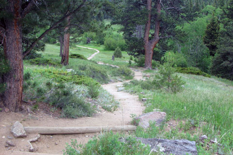 Cow Creek Trail