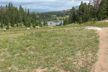 Trail nearing Dads Lake