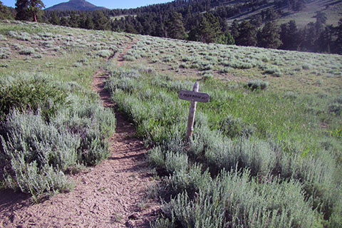 Deer Mountain sign