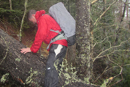 Crossing a downed tree