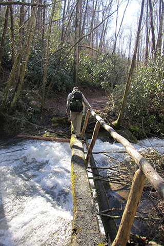 Footbridge over Moore Spring Branch