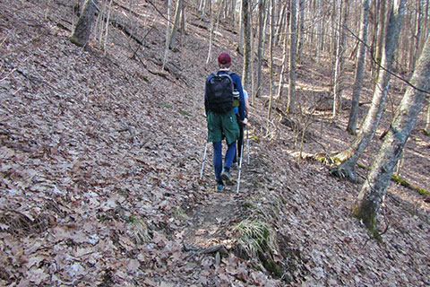 climbing Gregory Ridge