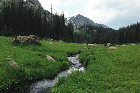 Haynach Meadow with Peak 12,057' in the background