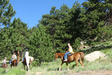 horse on a trail in RMNP