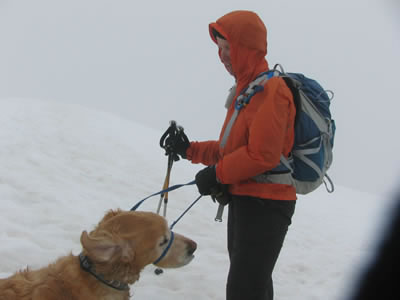 Jake with his gentle leader collar