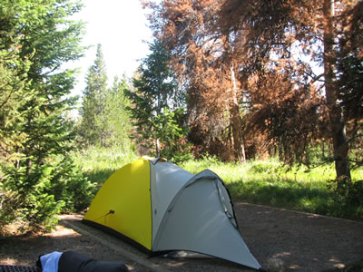 Jenny Lake, tent only, Campground