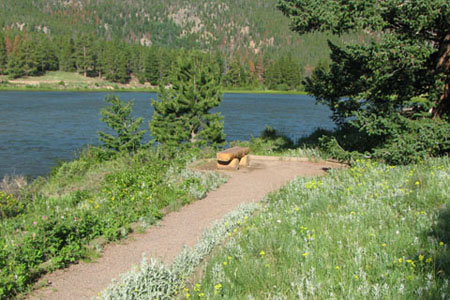 bench along the trail