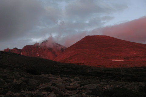 Longs in the Alpine glow