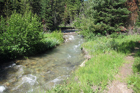 Kaufman Creek overflowing with snow melt