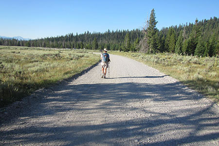 dusty Lupine road