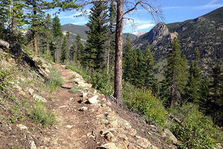 Trail leading across slope with McGregor's Slab in the distance