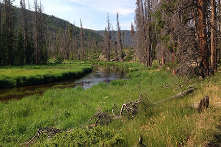 North Inlet close to Summerland Park