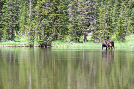 lake eating in Ouzel Lake