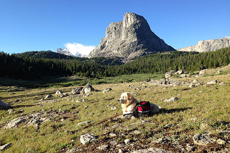 Our pup, Augie, enjoying the sun with Payson Peak in the background