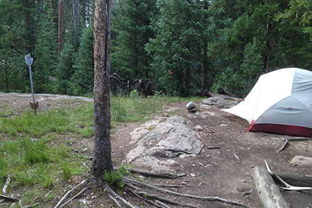 Pine Marten Campsite