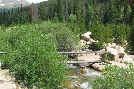 Bridge over Roaring River