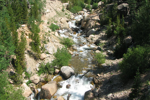 Roaring Fork ravine