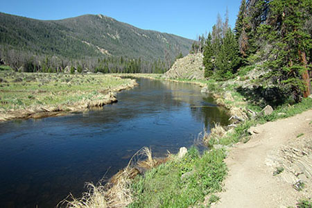 Snaky creek above Adams Falls