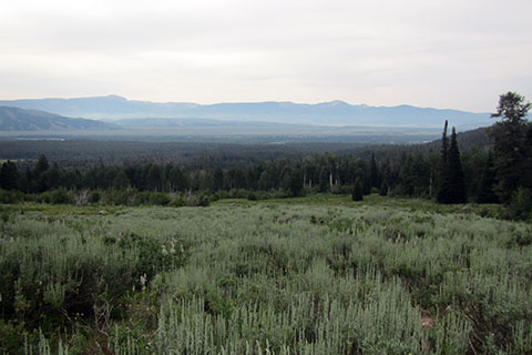 looking out from Stewarts Draw to the valley