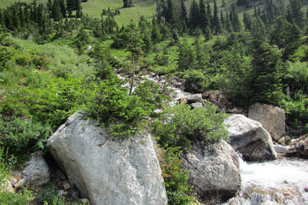 Stewarts Draw near our creek crossing