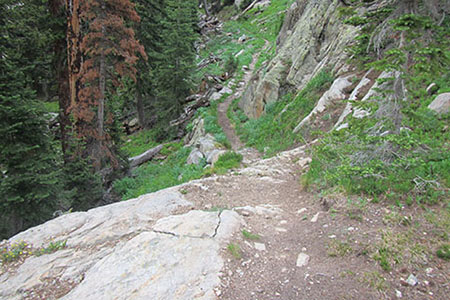 A typical section of the trail to Lake Nokoni