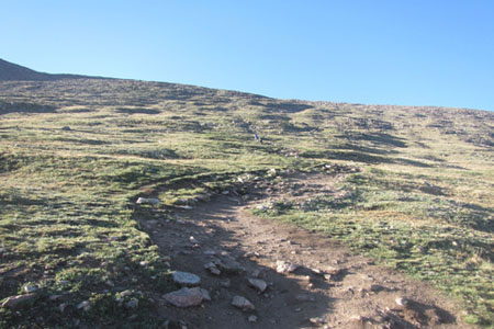 Upper west slopes of Bierstadt