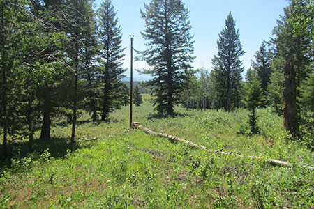 whitegrass ranch utility pole