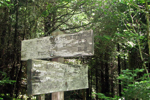 Trail Sign