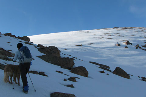 Pikes from Crag