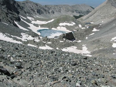 scree field