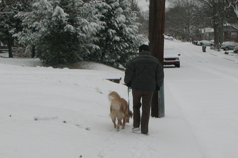 snow covering the sidewalks