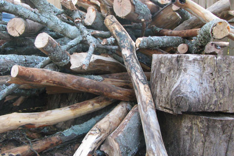 wood piled after the tree is downed